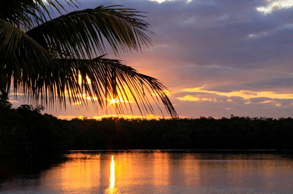 River Wilderness Waterfront Cabins Everglades City Exteriér fotografie